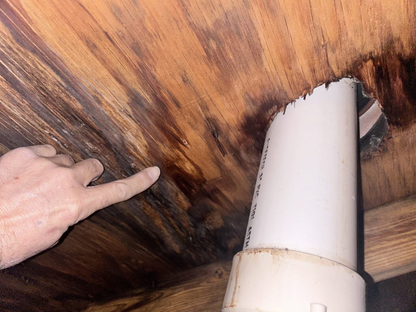 A person pointing to the ceiling of an attic.