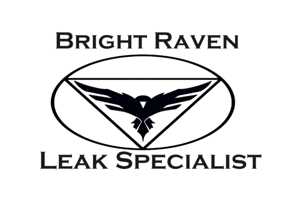 A black and white image of the logo for bright raven leak specialists.